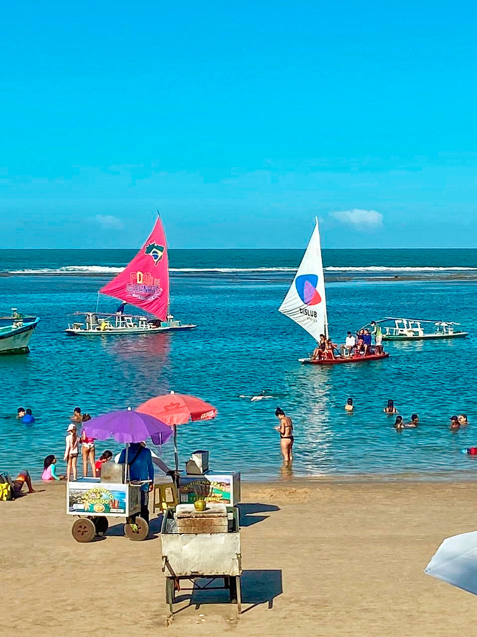 Passeios em Porto de Galinhas