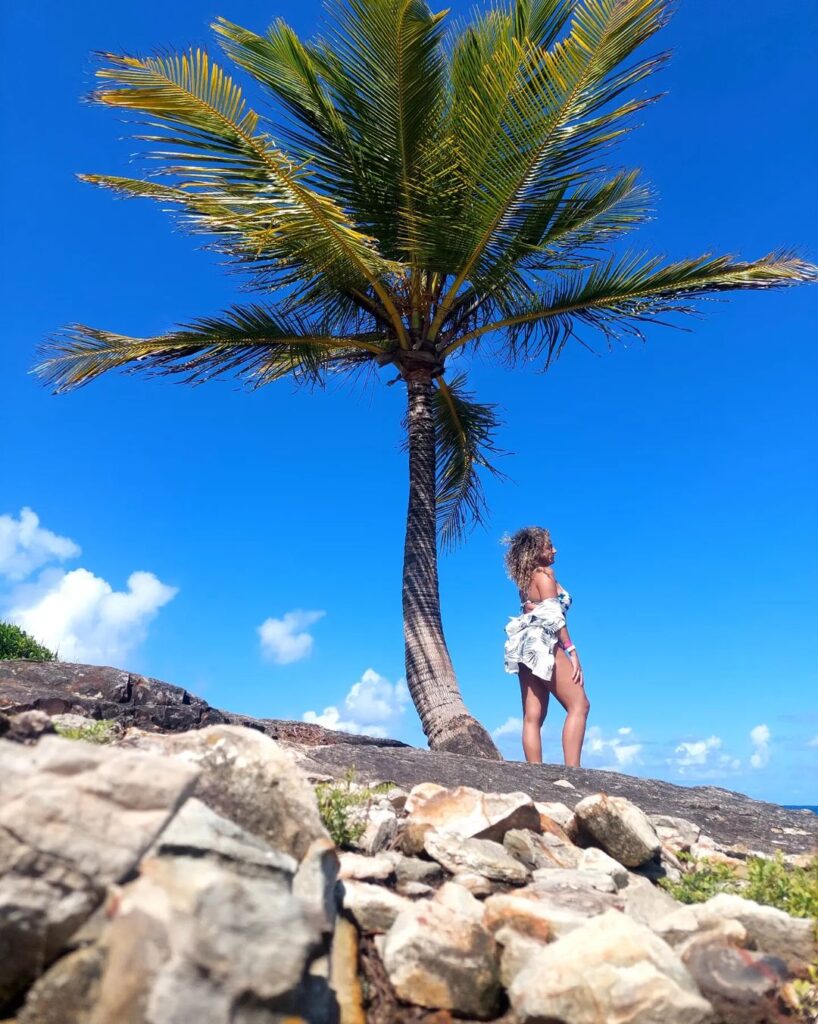 ilha de santo aleixo